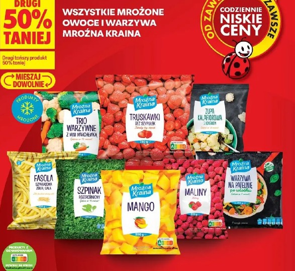 Wszystkie mrożone owoce i warzywa Mrożna Kraina