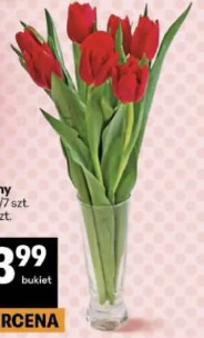 Tulipany