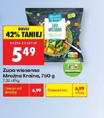 Zupa wiosenna Mrożna Kraina