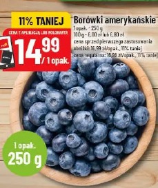 Borówki amerykańskie