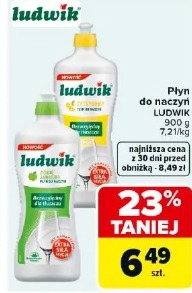 Płyn do naczyń LUDWIK