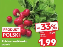 Polska rzodkiewka pęczek