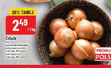 Cebula