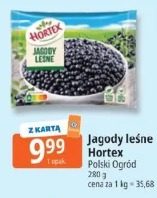 Jagody leśne Hortex Polski Ogród