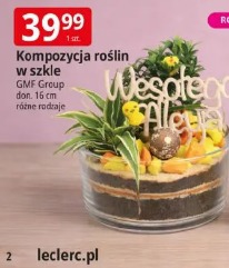 Kompozycja roślin w szkle GMF Group