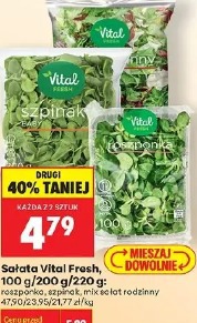 Sałata Vital Fresh