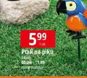 Ptak na piku