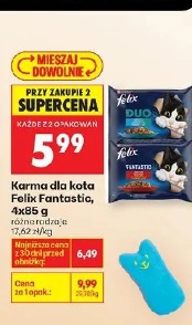 Karma dla kota Felix Fantastic