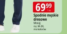 Spodnie męskie dresowe Moraj