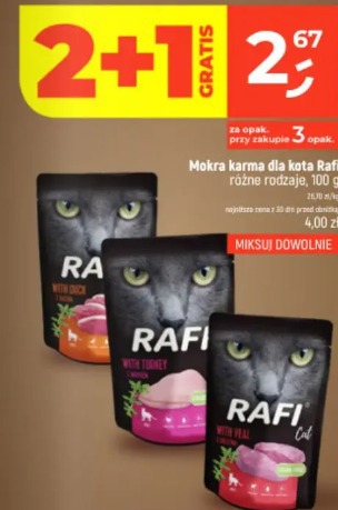 Mokra karma dla kota Rafi