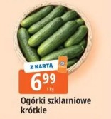 Ogórki szklarniowe krótkie