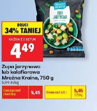 Zupa jarzynowa lub kalafiorowa Mroźna Kraina