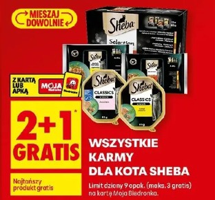 Wszystkie karmy dla kota Sheba