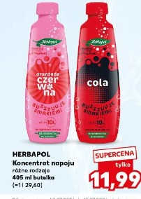 Herbapol Koncentrat napoju różne rodzaje