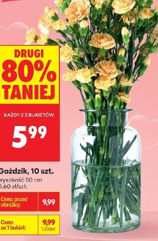 Goździk