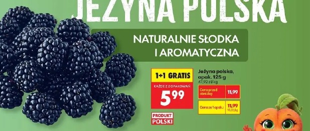 Jeżyna polska