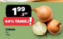 Cebula