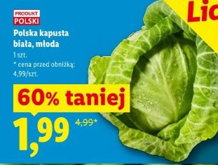 Polska kapusta biała, młoda