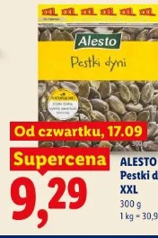 Alesto Pestki dyni, XXL