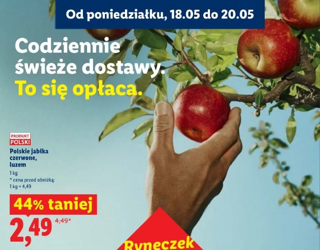 Polskie jabłka czerwone