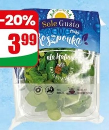 Sałata rukola, roszponka, szpinak