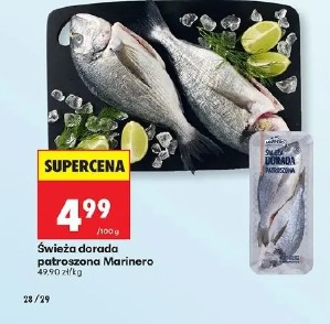 Świeża dorada patroszona Marinero