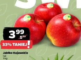 Jabłko Kujawskie
