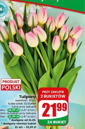 Tulipany