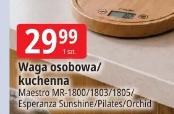 Waga osobowa/kuchenna Maestro MR-1800/1803/1805/Espereza Sunshine/Pilates/Orchid