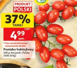 Pomidor koktajlowy