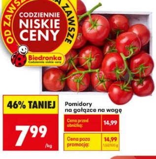 Pomidory na gałązce