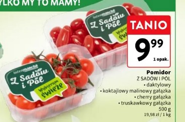 Pomidor z sadów i pól daktylowy, koktajlowy malinowy gałązka, cherry gałązka, truskawkowy gałązka