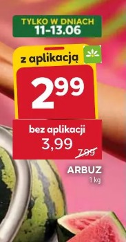 Arbuz