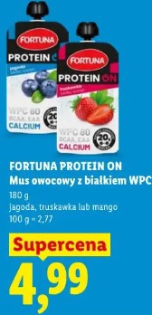 Fortuna Protein On Mus owocowy z białkiem WPC