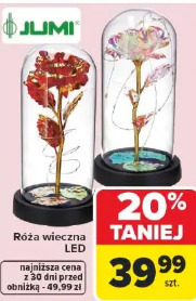 Róża wieczna LED Jumi
