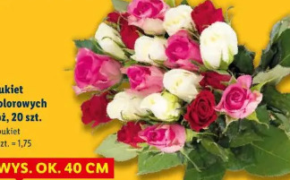 Bukiet kolorowych róż 20 szt.