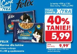 Felix Karma dla kotów
