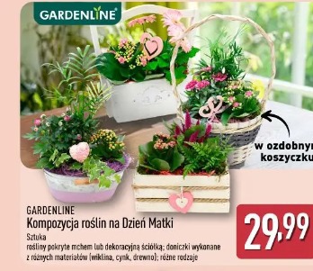 Kompozycja roślin na Dzień Matki