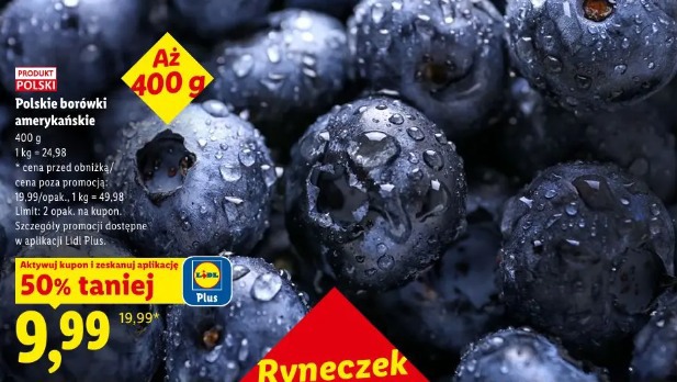 Polskie borówki amerykańskie