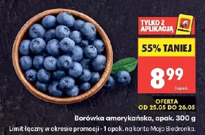 Borówka amerykańska