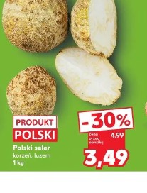 Polski seler korzeń