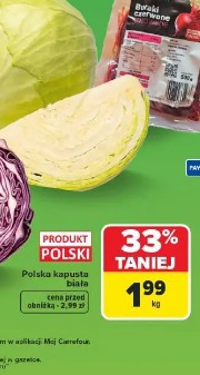 Polska kapusta biała