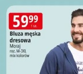 Bluza męska dresowa Moraj