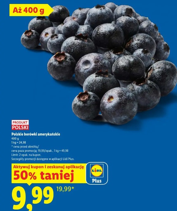Polskie borówki amerykańskie