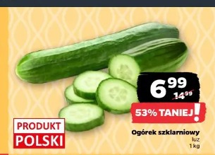 Ogórek szklarniowy