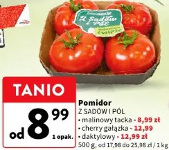 Pomidor z sadów i pól