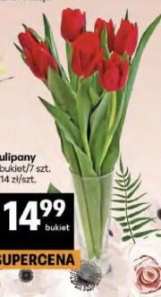 Bukiet tulipanów