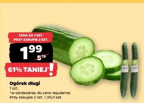 Ogórek długi