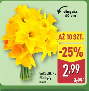 GARDENLINE Narcyzy bukiet