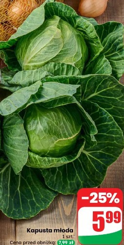 Kapusta młoda
